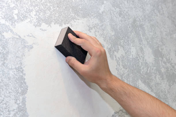 Best Residential Mold Inspection & Testing  in Atwater, MN