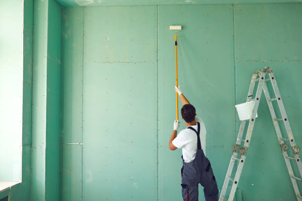 Best Environmental Consulting for Mold Prevention  in Atwater, MN