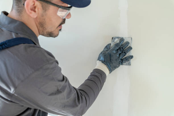 Best Real Estate Mold Inspection  in Atwater, MN