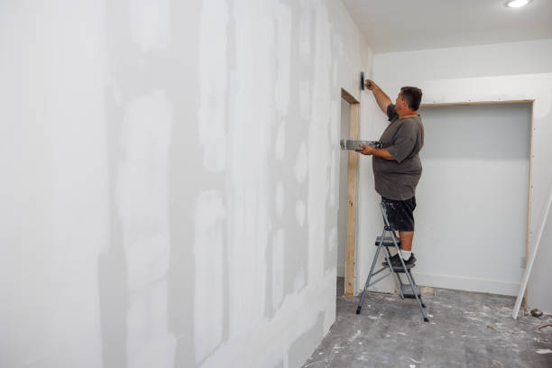 Best Post-Construction Mold Inspection  in Atwater, MN