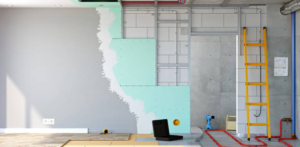 Best Emergency Mold Remediation  in Atwater, MN