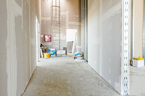 Best Water Damage & Mold Remediation  in Atwater, MN