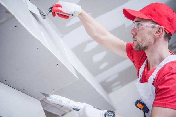 Best Air Quality Testing for Mold Spores  in Atwater, MN
